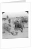Elephants working in a timber yard, India by Underwood & Underwood