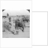 Elephants working in a timber yard, India by Underwood & Underwood