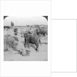 Elephants working in a timber yard, India by Underwood & Underwood