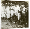 Snake charmer, Calcutta, India by Underwood & Underwood