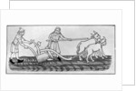 Ploughing by Anonymous