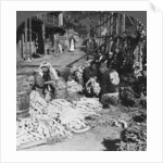 Sorting and packing daikon (Japanese radishes) on the waterfront, Atami, Japan by HC White