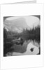 View of Mirror Lake, looking towards Mount Watkins, Yosemite, California, USA by Underwood & Underwood