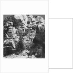 Climbing the steep zig-zag trail at the eastern end of Yosemite Valley, California, USA by Underwood & Underwood