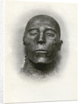 Head of the mummy of Sety I, Ancient Egyptian pharaoh of the 19th Dynasty by Winifred Mabel Brunton