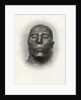 Head of the mummy of Sety I, Ancient Egyptian pharaoh of the 19th Dynasty by Winifred Mabel Brunton