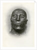 Head of the mummy of Sety I, Ancient Egyptian pharaoh of the 19th Dynasty by Winifred Mabel Brunton