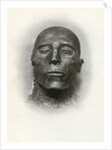 Head of the mummy of Sety I, Ancient Egyptian pharaoh of the 19th Dynasty by Winifred Mabel Brunton