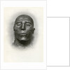 Head of the mummy of Sety I, Ancient Egyptian pharaoh of the 19th Dynasty by Winifred Mabel Brunton