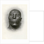 Head of the mummy of Sety I, Ancient Egyptian pharaoh of the 19th Dynasty by Winifred Mabel Brunton