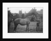 St Marguerite, British racehorse by Anonymous