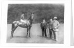 Minoru (Derby and 2000 Guineas winner) by WW Rouch