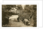 The Rustic Bridge, Boscombe Gardens, Bournemouth, Dorset by Anonymous