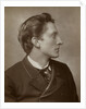 Johnston Forbes-Robertson, British actor by St James's Photographic Co
