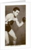 Dave Crowley, British boxer by Anonymous