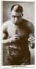 Larry Gains, Canadian boxer by Anonymous