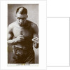 Larry Gains, Canadian boxer by Anonymous