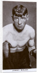 Jimmy Walsh, British boxer by Anonymous