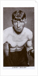 Jimmy Walsh, British boxer by Anonymous