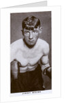 Jimmy Walsh, British boxer by Anonymous