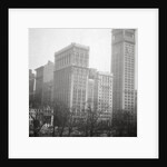 Madison Square, New York City, USA by J Dearden Holmes