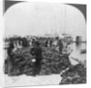 Sponge market, Key West harbour, Florida by Keystone View Company