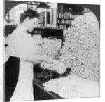 Weighing and sorting raw silk skeins, South Manchester, Connecticut, USA by Keystone View Company
