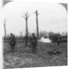British troops occupying Houthulst Forest, Flanders, Belgium, World War I by Realistic Travels Publishers