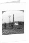 British troops occupying Houthulst Forest, Flanders, Belgium, World War I by Realistic Travels Publishers