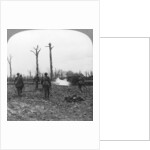 British troops occupying Houthulst Forest, Flanders, Belgium, World War I by Realistic Travels Publishers