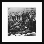 Victors and vanquished from the battle of Menin Road, Ypres, Flanders, Belgium, World War I by Realistic Travels Publishers