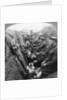 A section of Seaforth Highlanders snatching a moments respite, World War I by Realistic Travels Publishers