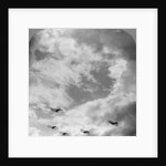 A battle squadron in fighting formation, World War I by Realistic Travels Publishers