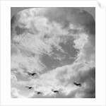 A battle squadron in fighting formation, World War I by Realistic Travels Publishers