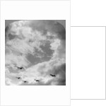 A battle squadron in fighting formation, World War I by Realistic Travels Publishers