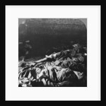 Charred bodies of the crew of a Zeppelin shot down over Billericay, Essex, World War I by Realistic Travels Publishers