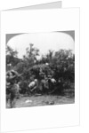 British gunners donning masks as protection against German gas shells, World War I by Realistic Travels Publishers