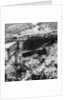 Destroyed German defence battery, Mariakerke, Belgium, World War I by Realistic Travels Publishers