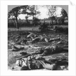 First World War battlefield scene by Realistic Travels Publishers