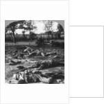 First World War battlefield scene by Realistic Travels Publishers