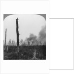 High explosive shells bursting in Mametz Wood, France, World War I by Realistic Travels Publishers