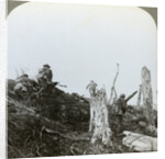 Assault in Trones Wood, Somme, France, World War I by Realistic Travels Publishers