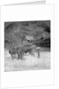 Threshing rice, Amarapura, Burma by Stereo Travel Co