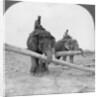 Elephants working in a lumber yard, Rangoon, Burma by Stereo Travel Co
