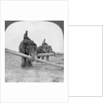 Elephants working in a lumber yard, Rangoon, Burma by Stereo Travel Co
