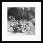 Family journeying through the jungle near Mingun, Burma by Stereo Travel Co
