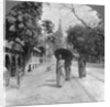 Pagoda Road to the Shwedagon Pagoda, Rangoon, Burma by Stereo Travel Co
