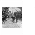 Pagoda Road to the Shwedagon Pagoda, Rangoon, Burma by Stereo Travel Co