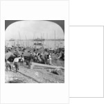 Harbour of Rangoon on the Irawaddy River, Burma by Stereo Travel Co