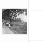 River front and bank, Bhamo, Burma by Stereo Travel Co